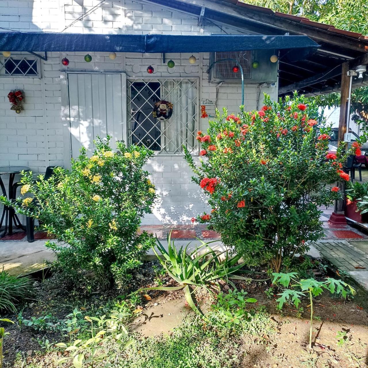Hostal Corales Tolu Exterior photo